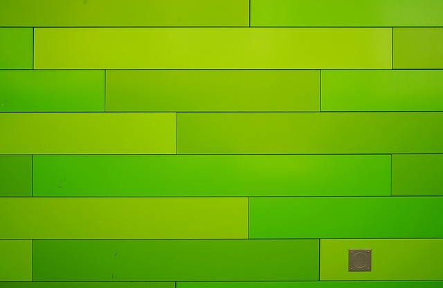 6 conseils amusants pour décorer votre maison avec du vert
